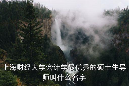 上海財(cái)經(jīng)大學(xué)會(huì)計(jì)學(xué)最優(yōu)秀的碩士生導(dǎo)師叫什么名字