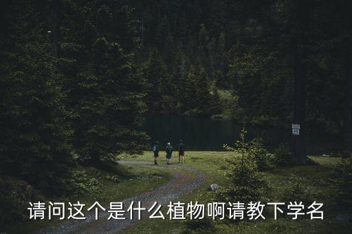 竹蕉，有一種螺旋形的家養植物叫什么名字