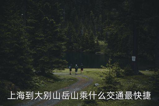 上海市到大別山游玩從哪開始，上海去大別山風(fēng)景區(qū)怎么坐車急求