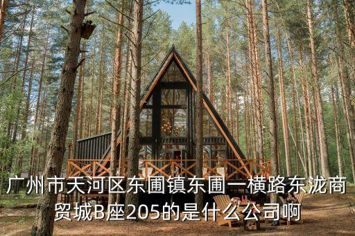 廣州市天河區東圃鎮東圃一橫路東瀧商貿城B座205的是什么公司啊