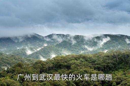 廣州到武漢最快的火車是哪趟