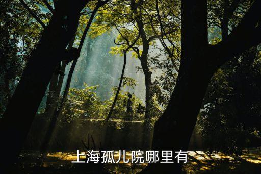 上海市有幾個(gè)孤兒院，上海哪有孤兒院具體位置詳細(xì)