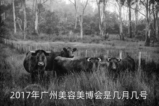 2017年廣州美容美博會是幾月幾號