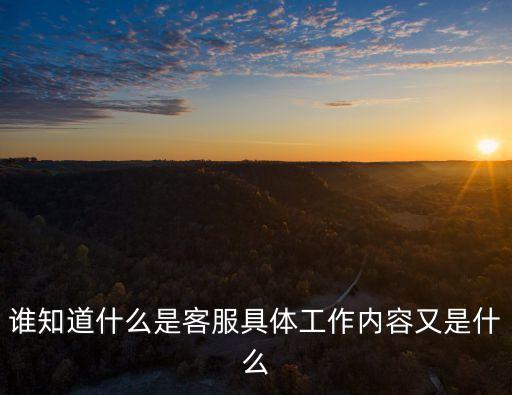 誰(shuí)知道什么是客服具體工作內(nèi)容又是什么