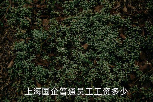 上海市國資工資，上海的國企工資只有2300左右稅后算低嗎