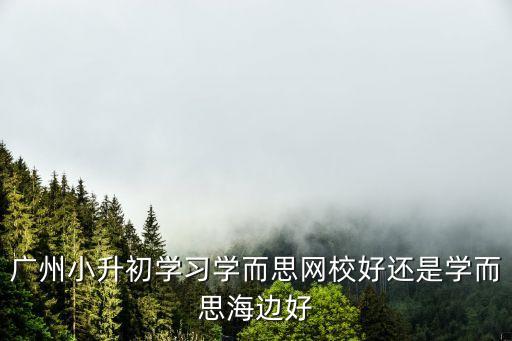 廣州小北學(xué)而思，廣州小升初學(xué)習(xí)學(xué)而思網(wǎng)校好還是學(xué)而思海邊好