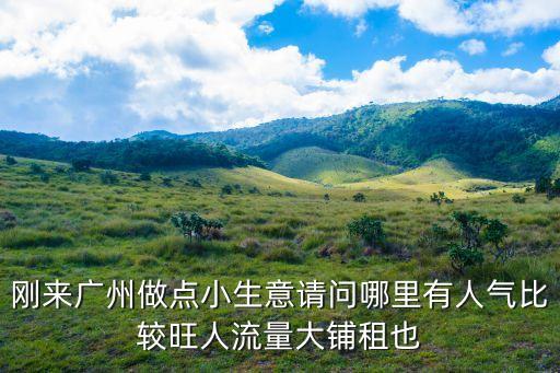 剛來廣州做點小生意請問哪里有人氣比較旺人流量大鋪租也