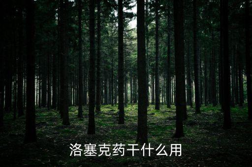洛塞克藥干什么用