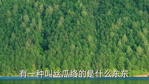 有一種叫絲瓜絡(luò)的是什么東東