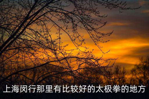 上海市太極拳館，上海太極拳館哪個比較好一點住在浦東