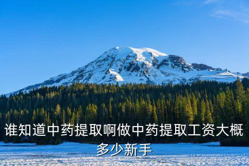 誰知道中藥提取啊做中藥提取工資大概多少新手