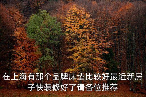 在上海有那個品牌床墊比較好最近新房子快裝修好了請各位推薦