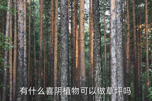 廣州喜陰草坪，南方喜蔭草坪種植有哪幾種