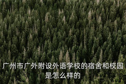 廣州市廣外附設外語學校的宿舍和校園是怎么樣的