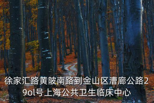徐家匯路黃陂南路到金山區漕廊公路29ol號上海公共衛生臨床中心
