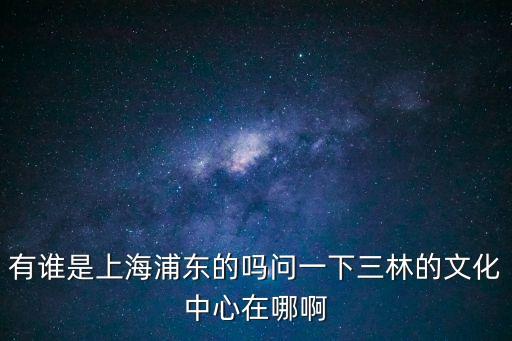 上海市三林世博文化中心，有誰是上海浦東的嗎問一下三林的文化中心在哪啊