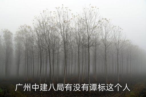 廣州中建八局有沒有譚標這個人