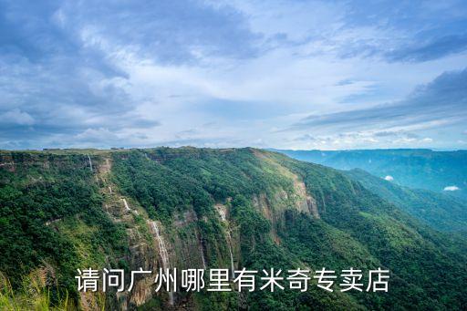 廣州有米奇，請問廣州哪里有米奇專賣店