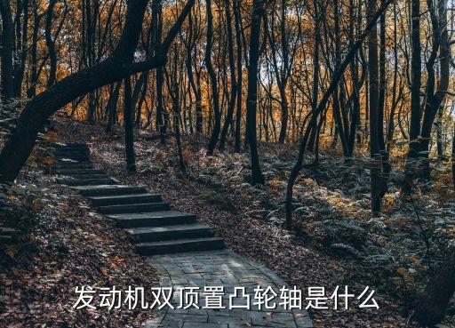 頂置凸輪軸，發動機雙頂置凸輪軸是什么