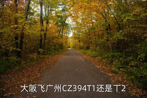 大阪飛廣州CZ394T1還是丅2