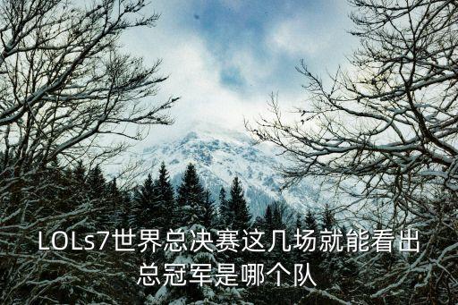 s7決賽，s7總決賽RNG輸了嗎