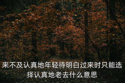 來不及認真地年輕待明白過來時只能選擇認真地老去什么意思