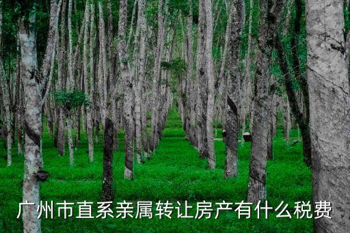 直系親屬廣州市住房過戶，廣州直系親屬房產過戶費用怎么算