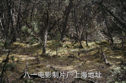 上海市五原路永福路一號，請問上海莫奈酒店MOTEL