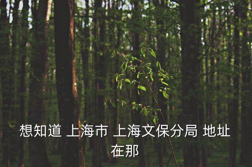 上海市文旅局的上級(jí)主管部門，想知道 上海市 上海文保分局 地址在那
