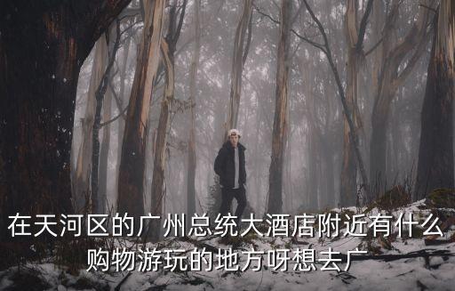 廣州天娛廣場附近酒店，廣州天河區(qū)崗頂?shù)罔F3號線A出口的附近有沒有什么比較好又便宜的酒