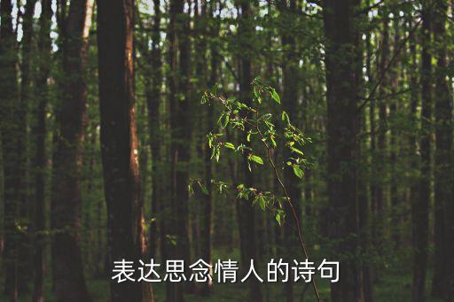 想念情人的詩詞，表達思念情人的詩句