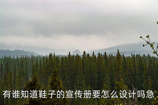 有誰知道鞋子的宣傳冊要怎么設計嗎急
