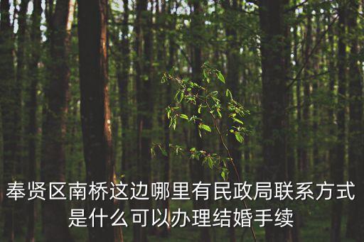 奉賢區南橋這邊哪里有民政局聯系方式是什么可以辦理結婚手續