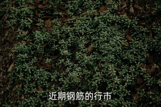 2020年3月10日廣州土拍，低于三家導(dǎo)致不能進(jìn)行拍賣于是轉(zhuǎn)為掛牌在約十日后進(jìn)行掛