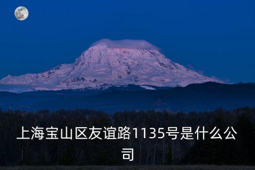 上海寶山區(qū)友誼路1135號是什么公司