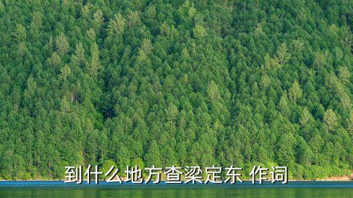 到什么地方查梁定東 作詞