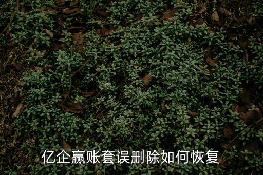 廣州億企贏，億企贏廣州信息科技有限公司是做什么的