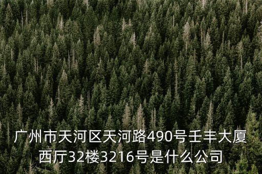 廣州市天河區天河路490號壬豐大廈西廳32樓3216號是什么公司