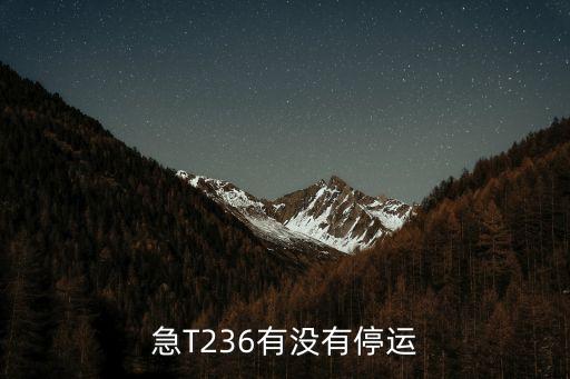 急T236有沒有停運