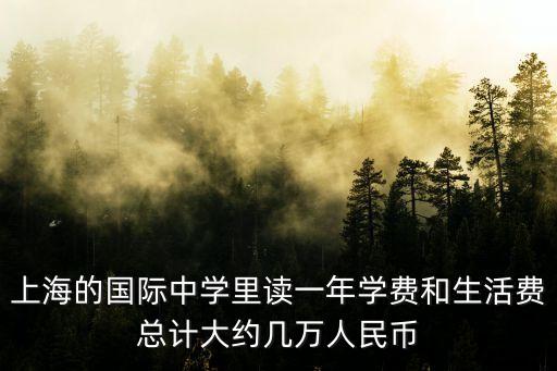 上海的國際中學里讀一年學費和生活費總計大約幾萬人民幣