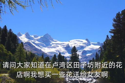 上海市盧灣區(qū)月月紅鮮花禮品店，盧灣區(qū)大上海時(shí)代廣場(chǎng) 怎么去訂購(gòu)鮮花的哦