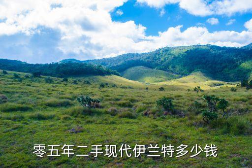 零五年二手現代伊蘭特多少錢
