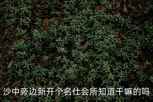 沙中旁邊新開個名仕會所知道干嘛的嗎
