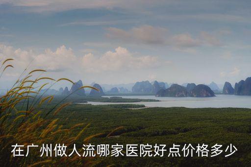 在廣州做人流哪家醫院好點價格多少
