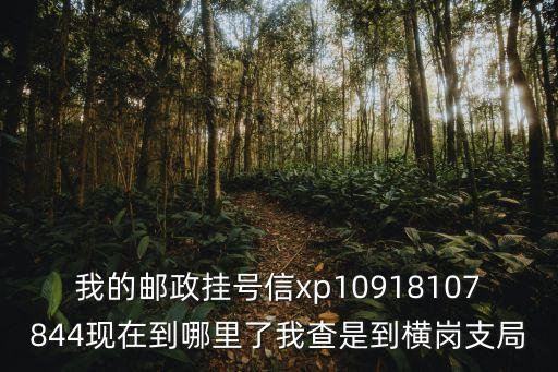 我的郵政掛號信xp10918107844現在到哪里了我查是到橫崗支局