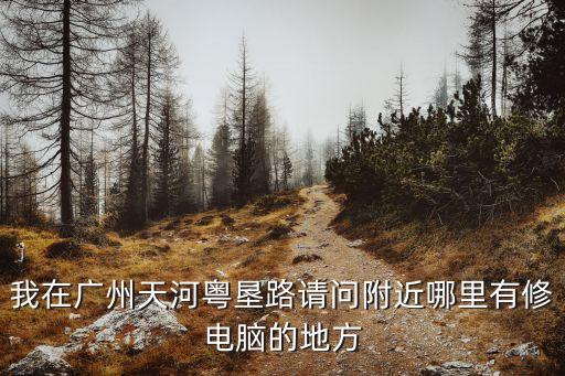 我在廣州天河粵墾路請問附近哪里有修電腦的地方
