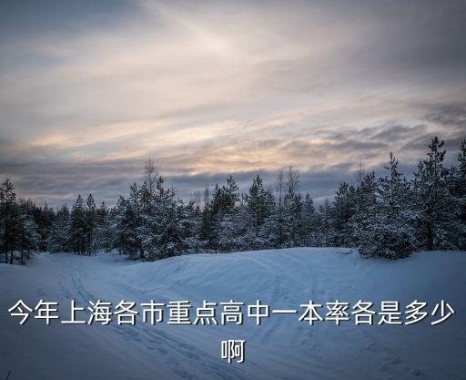 今年上海各市重點高中一本率各是多少啊