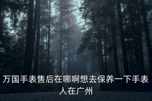 萬國手表售后在哪啊想去保養(yǎng)一下手表人在廣州