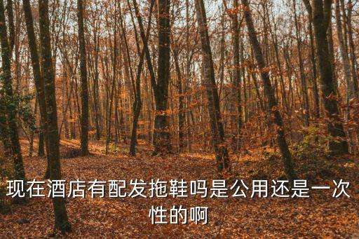 廣州柏悅酒店拖鞋，廣州哪里有這款Birkenstock DAVOS拖鞋賣可以的話順便把價格也說