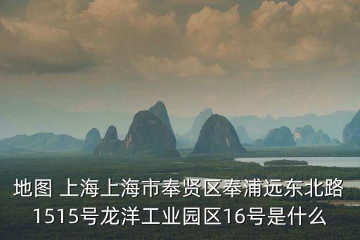地圖 上海上海市奉賢區奉浦遠東北路1515號龍洋工業園區16號是什么